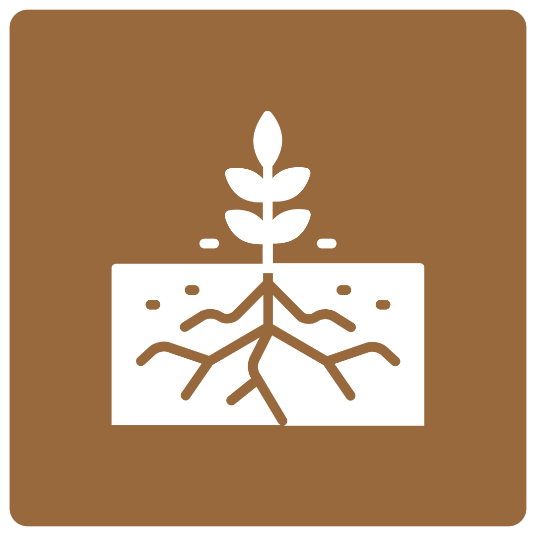 Untitled design (11)