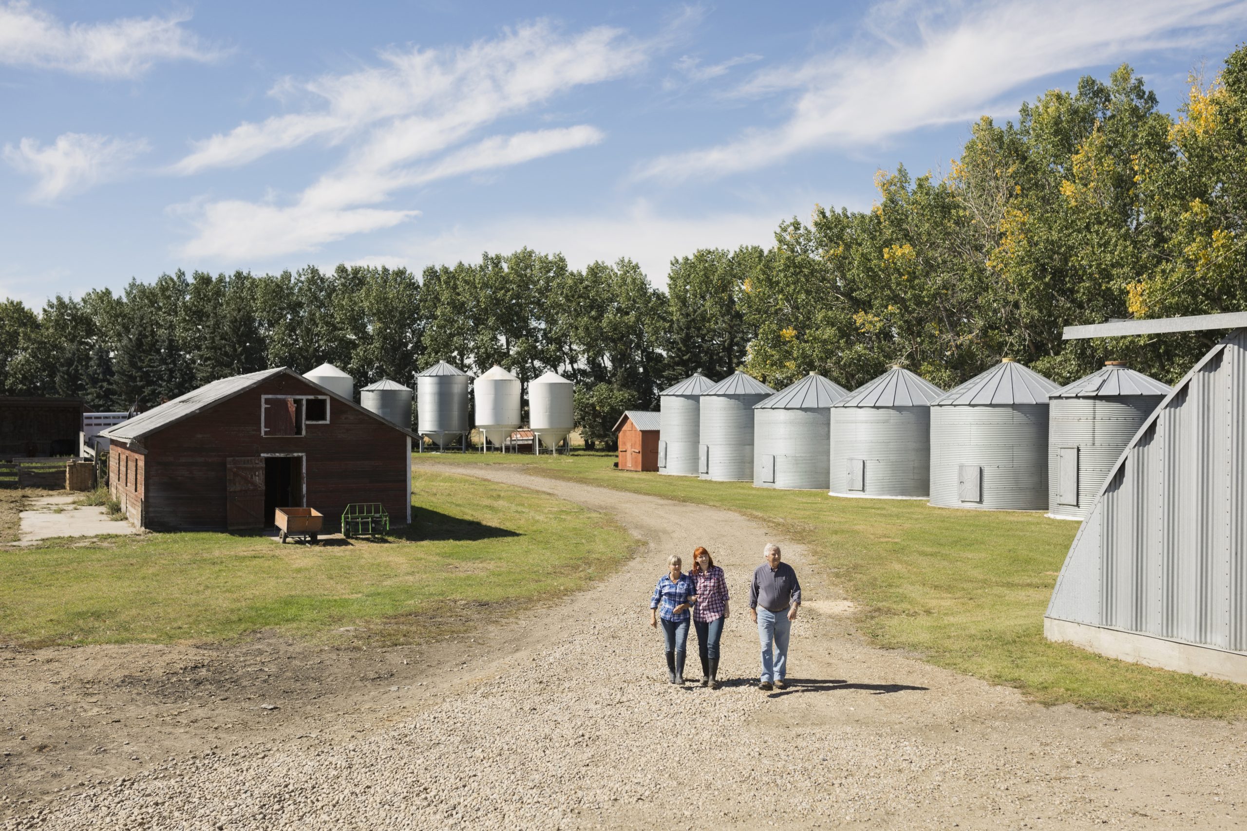 Family walking on sunny road on farm