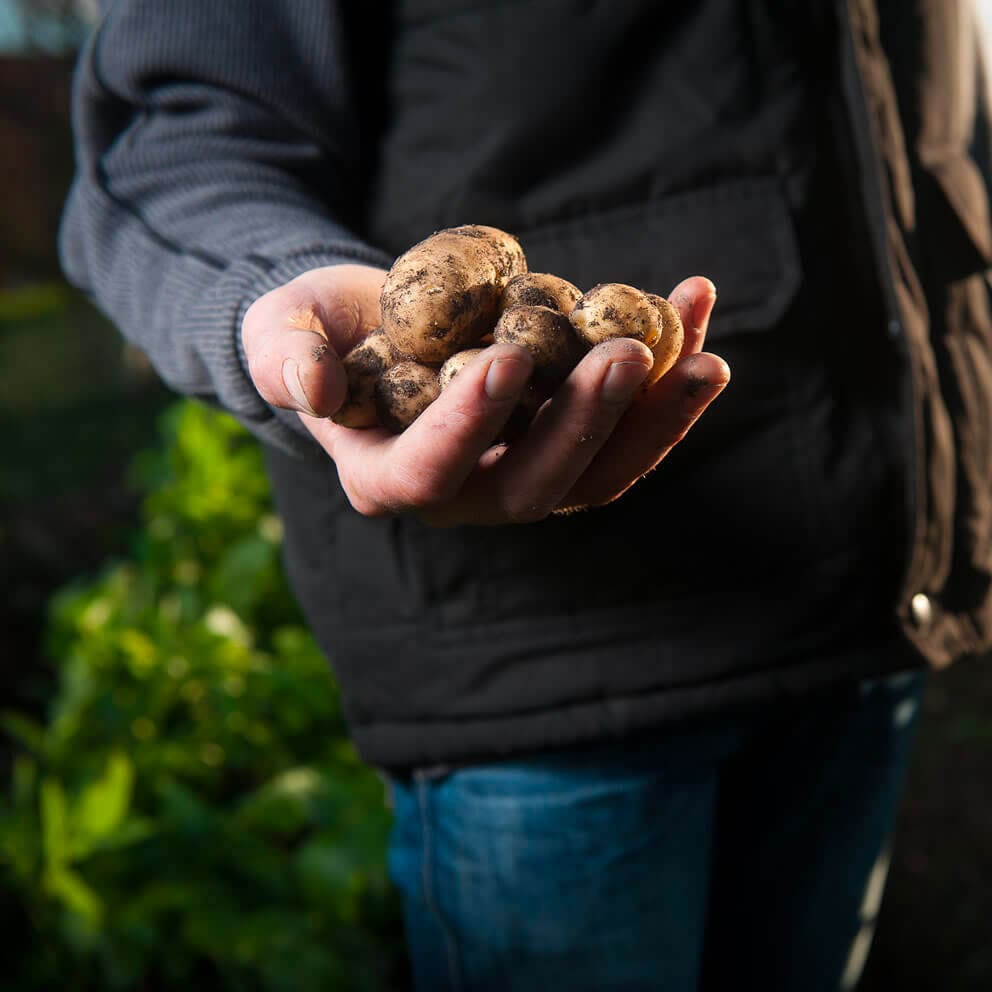 For-the-purchase-of-raw-materials-min