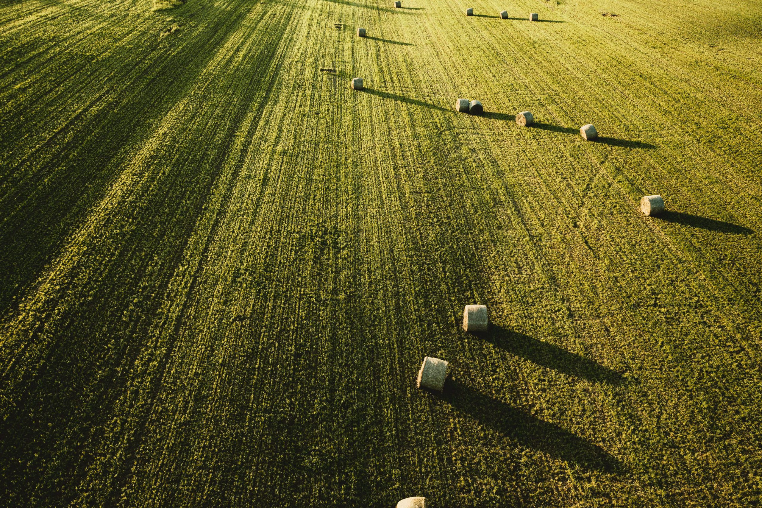 large-beautiful-agricultural-field-with-stacks-hay-shot-from-min