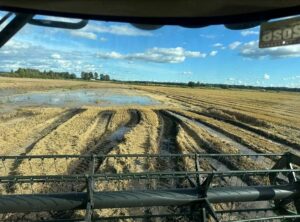 Post Thumbnail Image