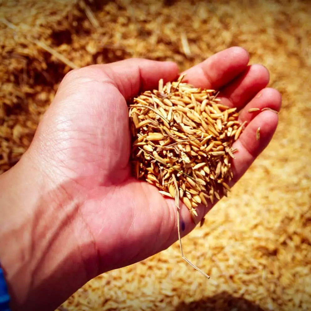 For-grain-farmers-min