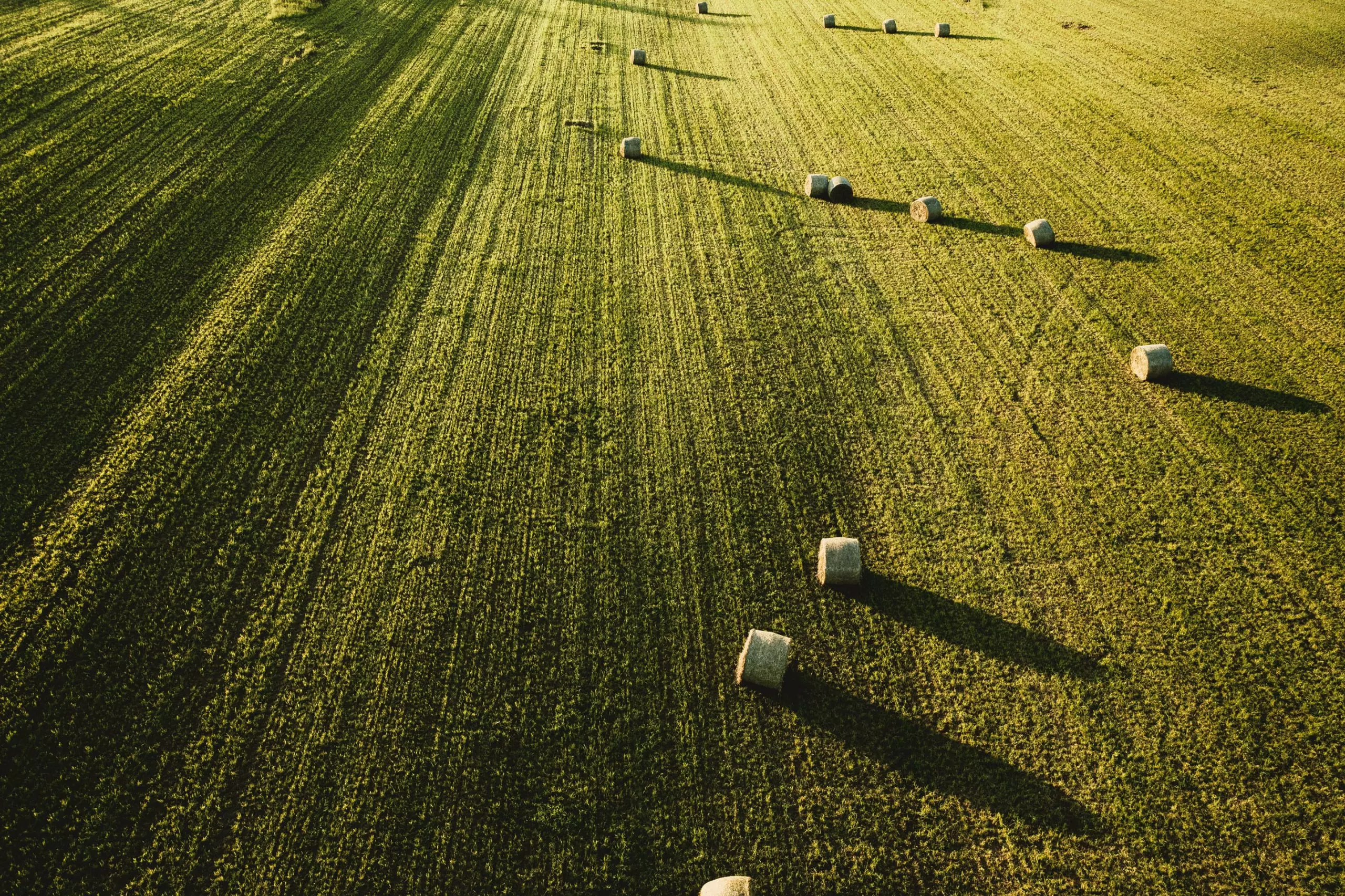 large-beautiful-agricultural-field-with-stacks-hay-shot-from-min