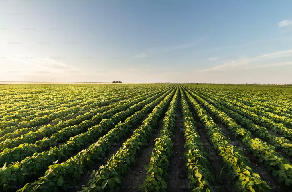 Kā racionāli samazināt minerālmēslojuma izmantošanu?