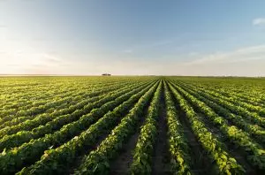 Post Thumbnail Image