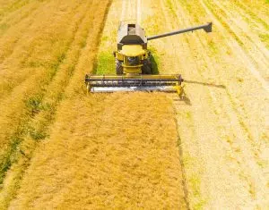 Post Thumbnail Image