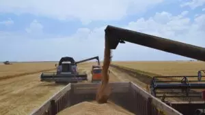 Post Thumbnail Image